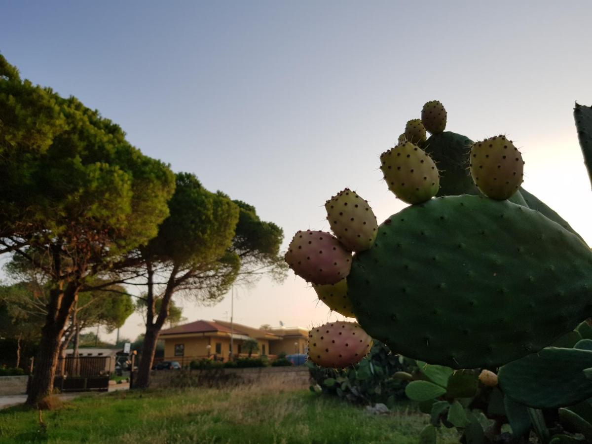 Turtle Island Apartments Santa Croce Camerina Extérieur photo